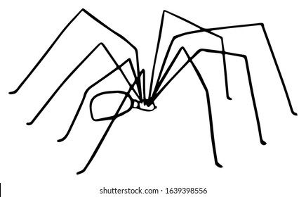 Daddy Long Legs Drawing, Daddy Long Legs Spider Tattoo, Daddy Long Legs Spider, Long Leg Spider, Inktober Ideas, Spider Illustration, Spider Drawing, Spider Legs, Spider Tattoo