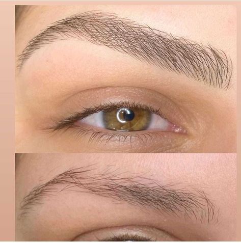 Microblading Inspiration, Tattoo Brows, Lash Boutique, Mircoblading Eyebrows, Micro Pigmentation, Eyebrow Trends, Semi Permanent Eyebrows, Feather Brows, Powder Brows