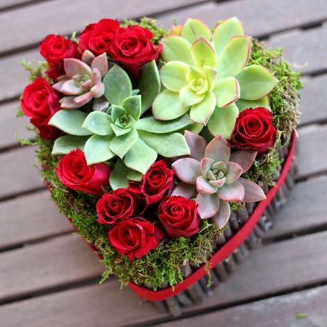 Arranged with Love: Beautiful Valentine's Day Flowers for Everyone | eHow Valentine Flower Arrangements, Valentine Bouquet, Diy Flores, Succulent Garden Design, Unique Flower Arrangements, Valentine Day Boxes, Valentines Flowers, Flower Arrangements Diy, Trendy Flowers