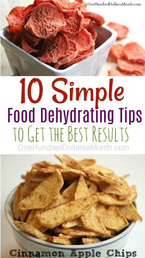 Dehydrator Recipes Fruit, Best Food Dehydrator, Dehydrating Food Storage, Food Dehydration, Cinnamon Apple Chips, Dehydrated Vegetables, Picky Eating, Dehydrated Fruit, Dehydrated Food