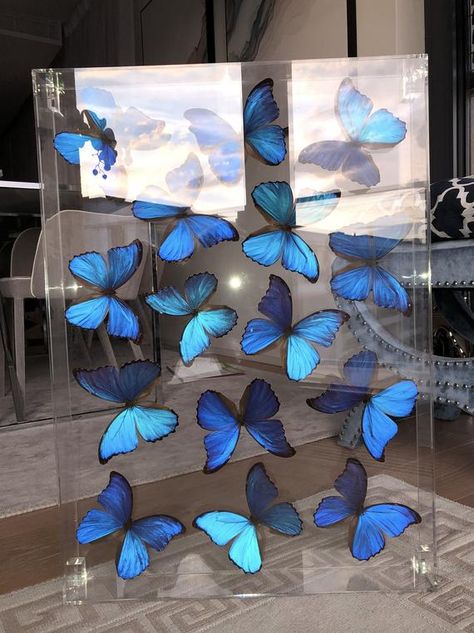 Butterflies in acrylic case Butterfly Quince, Sweet 15 Party Ideas Quinceanera, Sweet 15 Party Ideas, Butterfly Room, Quince Decorations, Quinceanera Decorations, Quinceanera Themes, Cinderella Birthday, Blue Butterflies