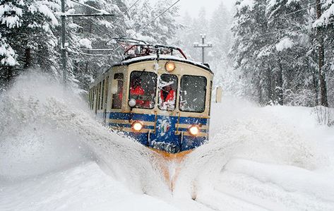 Il Treno del Gusto: un viaggio incantato nelle Alpi tra paesaggi innevati e delizie gastronomiche | Guida Torino Santa Maria Maggiore, Italian Vacation, Winter Destinations, Italy Tours, Italy Travel Tips, Honeymoon Travel, Visit Italy, Italy Vacation, Tourist Places