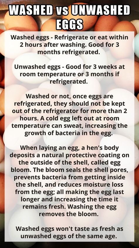 Unwashed Eggs, Amazing Food Hacks, Backyard Chicken Farming, Chicken Garden, Farm Eggs, Chicken Diy, Food Saver, Food Info, Cooking Basics