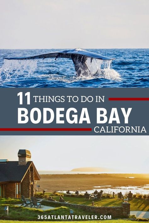 Bodega Bay California Things To Do, Bodega Bay California, West Coast Travel, Napa Valley Trip, Cali Trip, California Restaurants, Bodega Bay, Food Shopping, Coastal Town