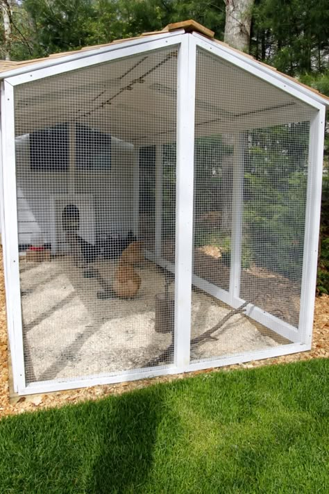 Reban Ayam, Cedar Shingle Roof, Chicken Pen, Chicken Tractor, Coop Design, Chickens And Ducks, Hardware Cloth, Chicken Coop Designs, Chicken Garden