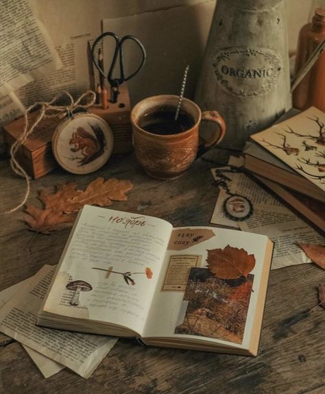 Grafika Vintage, Hufflepuff Aesthetic, Dark Acadamia, Fotografi Vintage, Dark Academia Aesthetic, Academia Aesthetic, Best Seasons, Autumn Cozy, Brown Aesthetic