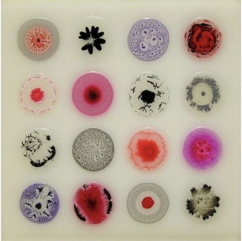 Cells Artwork, Textile Book, Glue Painting, Bio Art, Petri Dish, Plakat Design, Color Abstract, Bubble Art, Art Folder