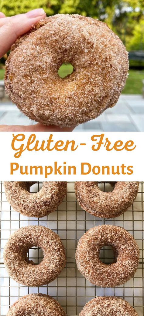 Nothing says Fall like pumpkins, apple cider and DONUTS! And these Gluten-Free Baked Pumpkin Donuts taste like they are straight from a bakery. Amazing texture and just the right amount of sweet & spice! Gf Pastry, Gluten Free Doughnuts, Gluten Free Donuts, Gluten Free Flour Blend, Gluten Free Recipes For Breakfast, Gluten Free Living, Gluten Free Sweets, Gluten Free Recipes Easy, Pumpkin Flavor