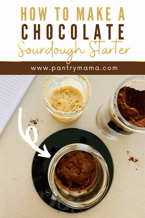 The Pantry Mama, Pantry Mama, Chocolate Sourdough, Recipe Using Sourdough Starter, Sourdough Bread Starter, Dough Starter, Sourdough Starter Discard Recipe, Starter Recipe, Homemade Sourdough Bread