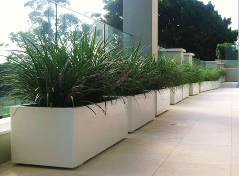 Concrete Planter Boxes, Garden Troughs, Concrete Patios, Trough Planters, Fiberglass Planters, Rectangular Planters, Outdoor Gardens Design, Concrete Planters, Concrete Patio