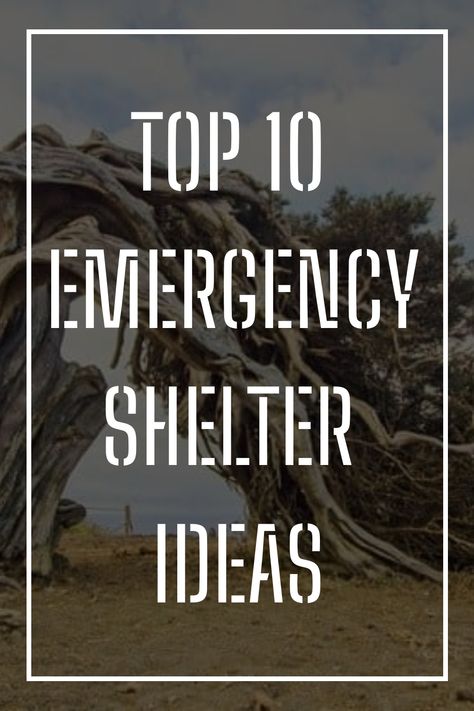 Explore the world of DIY Survival Shelters with our wilderness survival ideas. Learn how to create emergency shelter using bushcraft techniques in the great outdoors. Discover innovative ways to build outdoor survival shelters for your next adventure. Get inspired by DIY outdoor shelter projects and enhance your homestead survival skills with these practical tips and tricks. Embrace the art of building outdoor shelters from scratch and master the essentials of wilderness survival. Building Shelter Survival Woods, Survival Techniques How To Build, Diy Outdoor Shelter, Lifesaving Tips, Shelters In The Woods, Wilderness Survival Shelter, Diy Survival, Shelter Ideas, Bushcraft Shelter