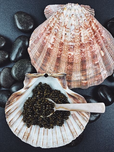 Finest quality caviar - always fresh in stock. Overnight delivery Caviar Brunch, Caviar Aesthetic, Caviar Party, Tuscan Summer, Geometric Fish, Caviar Spoon, Summer Editorial, Red Caviar, Food Mood