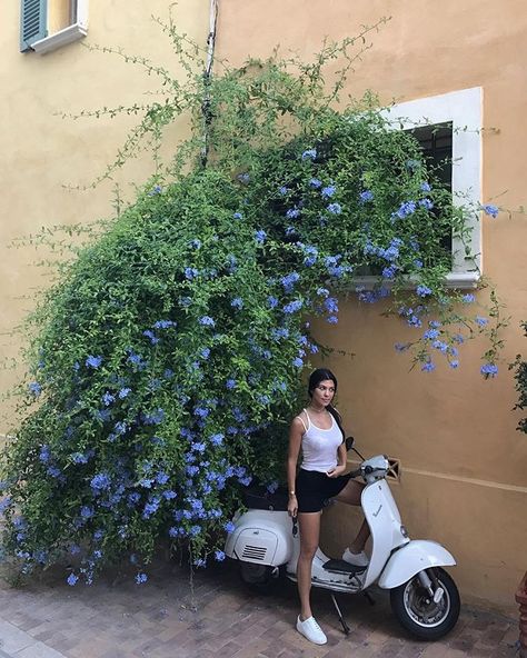 Kourtney Kardashian on Instagram: “Baby, we should hit the south of France” Tropical Vacation Places, Younes Bendjima, South America Travel Itinerary, Best Countries To Visit, Disney Musical, Dream Vacations Destinations, Emperors New Groove, Scooter Girl, Southeast Asia Travel