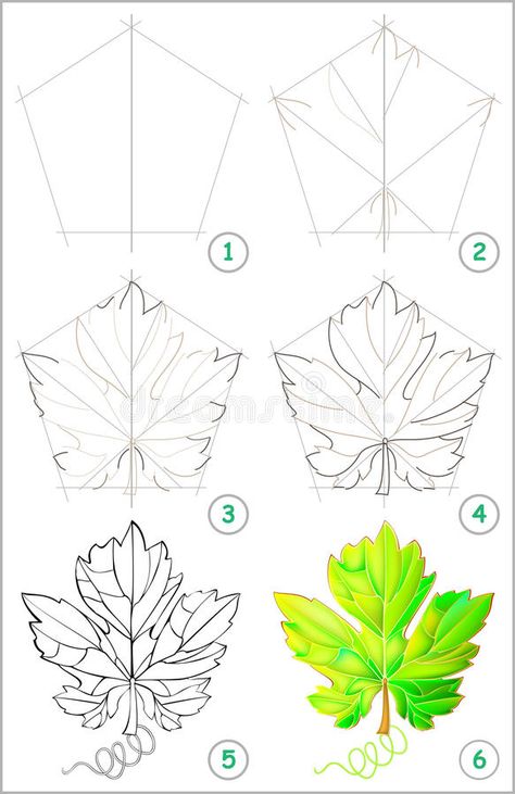 Grape Leaf Drawing, How To Draw A Maple Leaf Step By Step, Grape Vine Drawing Simple, Grapes Leaf Drawing, Grape Leaves Drawing, Leaf Drawing Easy, Grape Line Drawing, Grape Leaf, Grapes Leaves