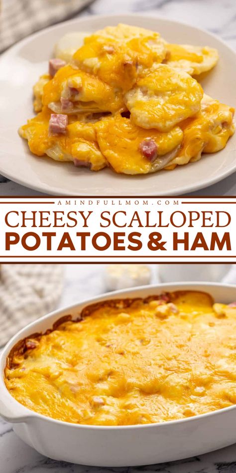 Check out this cheesy scalloped potato recipe and add it to your Thanksgiving side dish recipes! This easy potato casserole with ham, layers of potatoes, and a homemade sharp cheddar cheese sauce. Don't miss it! Cheesy Scalloped Potatoes And Ham, Ham And Scalloped Potatoes, Cubed Ham, Easy Cheesy Scalloped Potatoes, Thanksgiving Recipes Side Dishes Easy, Homemade Scalloped Potatoes, Potatoes And Ham, Ham And Potato Casserole, Christmas Side Dish Recipes