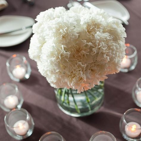 White Carnation Centerpieces #white #carnations #centerpiece #classic #wedding White Carnation Wedding Centerpieces, Carnation Wedding Centerpieces, Carnation Centerpieces, Carnation Wedding, White Carnation, Ny Wedding, Vase Centerpieces, Mexico Wedding, Anniversary Parties