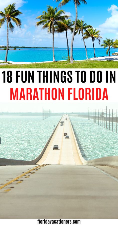 The best things to do in Marathon FL in the Florida Keys including the best beaches like sombrero beach, restaurants in the area and best places to eat in Marathon, hotels and where to go if you are traveling with kids. The best things to do and see in the Florida Keys right here including fishing, seeing animals and where to go on a road trip #marathonfl #floridakeys #floridatravel #keys #floridavacation #marathonflorida Marathon Florida Keys, Marathon Florida, Florida Attractions, Florida Parks, Canoe Fishing, Fl Keys, Beautiful Florida, Florida Travel Guide, Florida Destinations