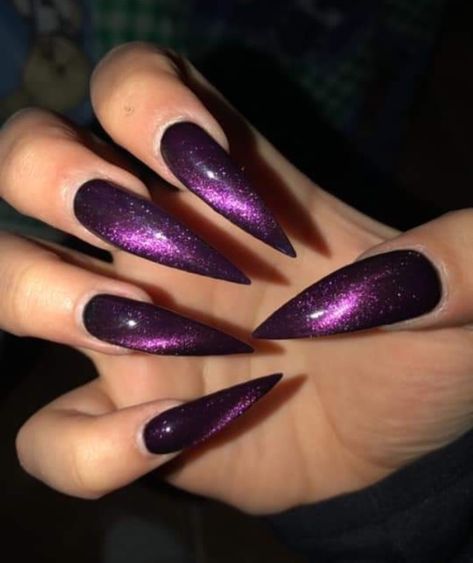 Purple Nails Pointy, Dark Stilleto Nails Design, Purple Stilleto Nails Designs, Cat Eye Nails Stiletto, Purple Cats Eyes Nails, Purple Stilletos Nails, Black And Purple Stiletto Nails, Dark Purple Cat Eye Nails, Dark Purple Stiletto Nails