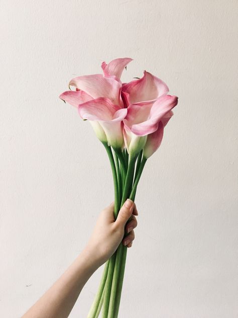 Pink Calla Lily Boutonniere, Cala Lillies Bride Bouquet, Pink Calla Lily Bouquet, Tulips Wedding Bouquet, Calla Lillies Centerpieces, Calla Lillies Wedding, Tulip Bridal Bouquet, Calla Lily Boutonniere, Flower Shop Interiors