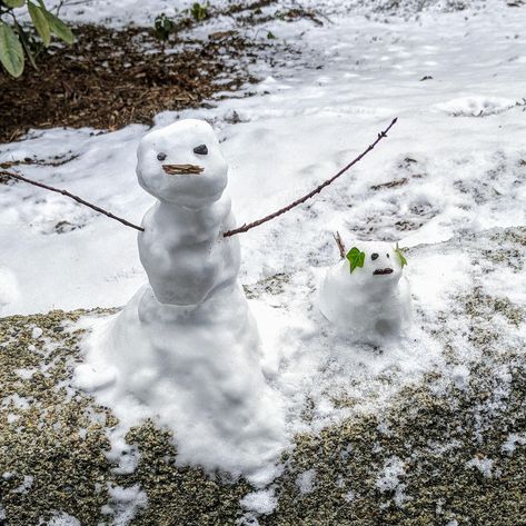 I found this tiny snowman on the sidewalk so I made him a little doggo friend <3https://ift.tt/2QMFbL4 Snowman Real, Tiny Snowman, Small Snowman, Winter Scenery, Snow Man, Winter Aesthetic, 귀여운 동물, Dog Pictures, Picture Video