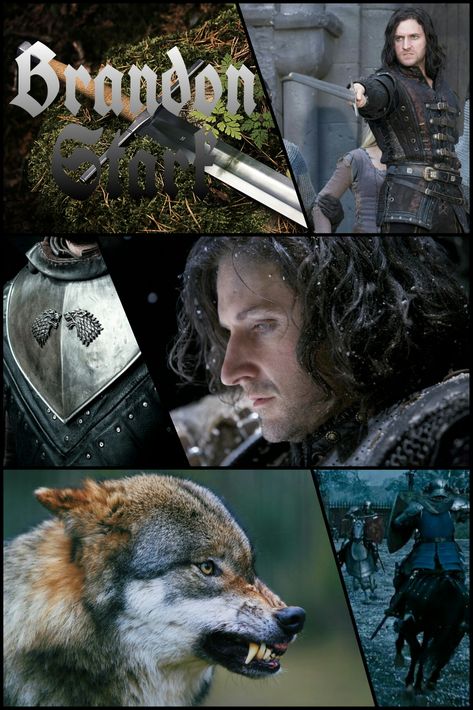 Brandon Stark Wild Wolf, Brandon Stark, Wolf Aesthetic, House Stark, Gra O Tron, Games Of Thrones, Wild Wolf, Dragon Games, Game Of Thrones Houses