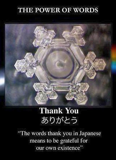 Masaru Emoto Water, Hidden Messages In Water, Thank You In Japanese, Nature Geometry, Masaru Emoto, Water Experiments, The Power Of Words, Power Of Words, 5 Elements