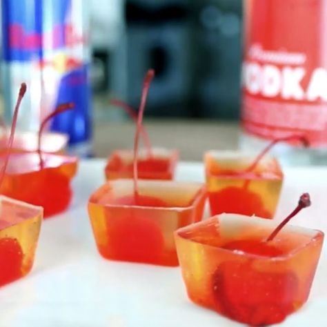 Vodka Red Bull Jello Shots - Tipsy Bartender Vodka Shot Recipes, Red Bull Vodka, Vegan Jello Shots, Vodka Jelly Shots, Vodka Red Bull, Vodka Jelly, Watermelon Jello Shots, Vodka Mixers, Jello Shots Vodka