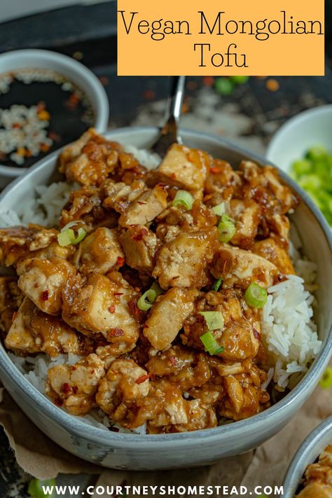 Non Asian Tofu Recipes, Easy Asian Tofu Recipes, Mongolian Tofu Recipe, Frozen Tofu Recipe, Indian Tofu Recipes, Instant Pot Tofu, Vegan Mongolian Beef, Mongolian Tofu, Asian Style Tofu