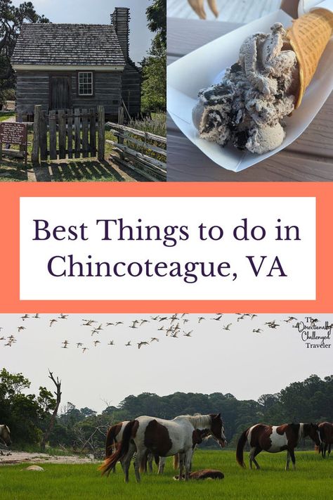 Discover the best things to do in Chincoteague, VA! From wildlife viewing to beach activities, enjoy this charming town. 🦌🏖️ #Chincoteague #Virginia Things To Do In Virginia, Dc Trip, Washington Dc Travel, Dc Travel, Beach Activities, American Travel, Destin Beach, Usa Travel, Travel Deals