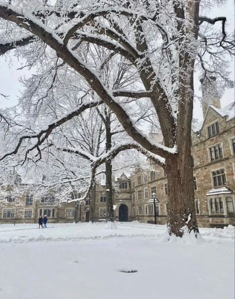 Law Quad Ann Arbor, Michigan Law School, U Of Michigan, U Michigan Aesthetic, Ann Arbor Michigan Aesthetic, University Of Michigan Aesthetic, Umich Aesthetic, U Michigan, University Michigan