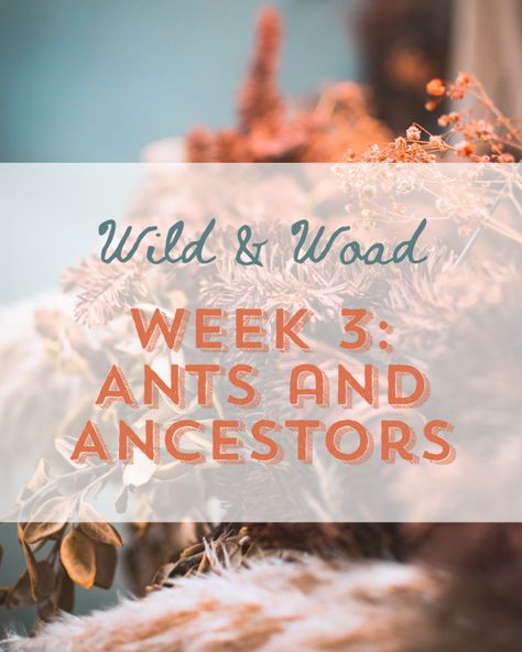 We are hunting for ant hills, looking at Taigas, and learning about our ancestors this week. Wild & Woad is our 3K earth centered approach to homeschooling. We keep it non-academic, with lots of time outside and plenty seasonal invitations to play. Homeschool Forest School, Pagan Preschool, Invitations To Play, School Magic, Homeschooling Preschool, Song Words, Invitation To Play, Forest School, Homeschool Ideas