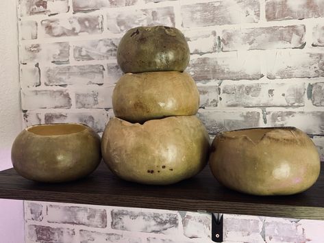 Gourd Bowls, Birdhouse Gourds, Calabash Gourd, Garden To Table, Gourd Ideas, Fun Dip, Diy Bowl, Diy Flower Pots, Gourds Crafts