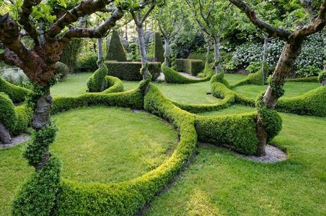 easy and cool looking boxwood Topiary Garden, Garden Shrubs, Diy Gardening, Have Inspiration, Diy Landscaping, Gorgeous Gardens, Garden Spaces, English Garden, Shade Garden