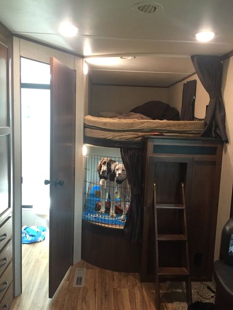 Pet Friendly Camper Ideas, Camper Living With Pets, Travel Trailer Bunk Remodel, Dog In Camper Ideas, Rv Dog Bed Ideas, Motorhome With Dogs, Rv Life With Dogs, Dog Friendly Rv Remodel, Dogs In Camper