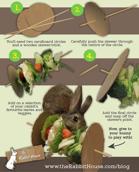 Bunny Enrichment Toys, Bunny Diy Pet Ideas, Diy Bunny Enrichment, Diy Rabbit Enrichment, Bunny Enrichment Ideas, Rabbit Diy Toys, Rabbit Enrichment Ideas, Diy Pour Lapin, Bunny Enrichment