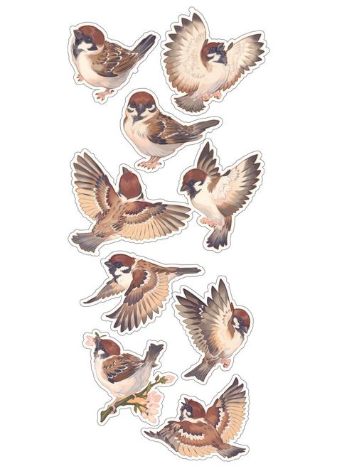 Bird Drawing Ideas, Sparrow Illustration, Sparrow Watercolor, Bird Drawing Easy, Drawing Easy Pencil, Watercolor Birds Tutorial, Simple Bird Drawing, Shading Pencil, Sparrow Drawing