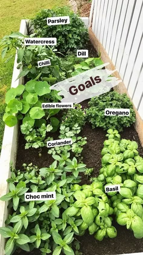 it. Rain Outdoor Herb Garden, Veg Garden, Home Vegetable Garden, Vegetable Garden Design, Food Garden, Veggie Garden, Garden Layout, Edible Garden, Small Gardens