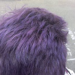 Purple Hair Male Aesthetic, Male Purple Hair, Layered Hair Curly, Brad Boimler, Danganronpa Aesthetic, Purple Hair Dye, Bright Purple Hair, Kitty Cheshire, Messy Bun For Short Hair