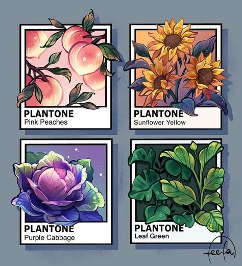 feef on Instagram: PLANTONE® seriesYou know, like Pantone but with plants?? Hehe which ones your favorite?! These are really fun and relaxing to do when you’re feeling fresh out of ideas. Highly recommend y’all Plant Drawing, Plant Illustration, Plant Art, Of Ideas, Pretty Art, Peaches, Flower Drawing, Doodle Art, Aesthetic Art