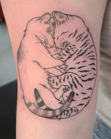 Cats Tattoo, Sleeping Cats, Mama Tried, Chiba, Best Tattoo, Hidden Gem, Cat Tattoo, Tattoo On, Tattoo Artists