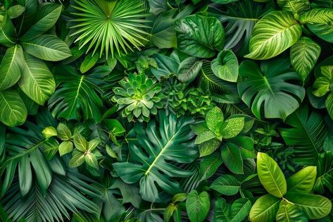 Rainforest Foliage, Rainforest Leaves, Green Leaves Background, Dutch Wax Print, Rainforest Plants, Green Leaf Background, Tropical Garden Design, Leaves Background, Jungle Art