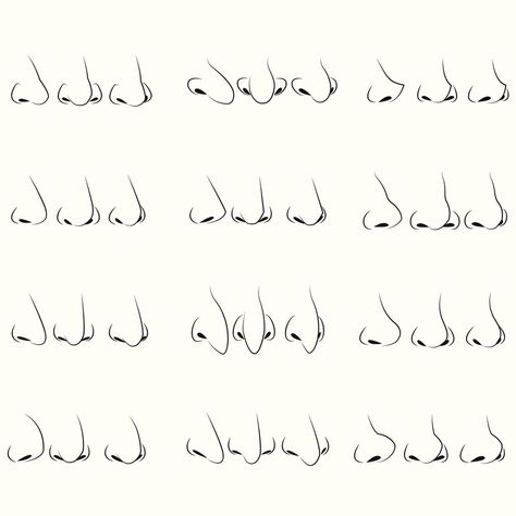 Scientists have shown an evolutionary link between human nose type and climate as humans diversified across the globe. Cartoon Noses Front View, Nose Shapes Front View, Hooked Nose Drawing Front View, Hooked Nose Front View Drawing, Big Nose Front View, Sketching Noses, Hooked Nose Front View, Nose Front View, Cartoon Nose