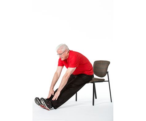 Sitting Exercise, Standing Leg Raises, Chair Exercises For Seniors, Components Of Fitness, Seated Hamstring Stretch, Standing Exercises, Exercise Images, Exercises For Seniors, Personal Trainer Certification