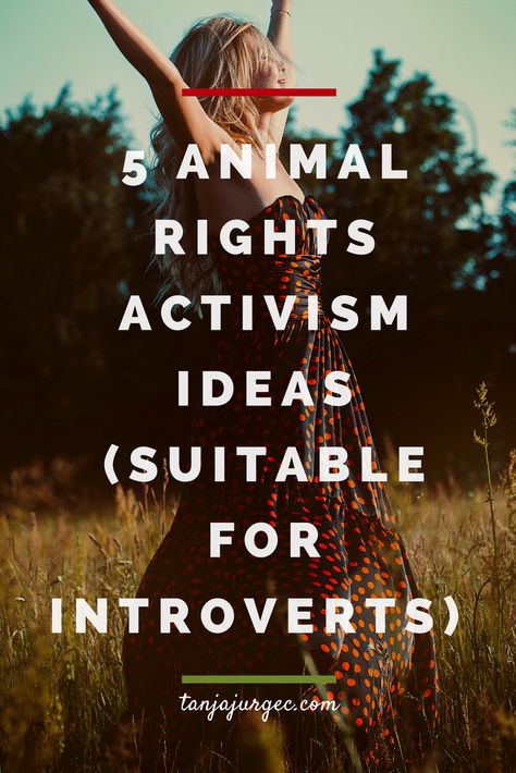 5 animal rights activism ideas (suitable for introverts) • Tanja Jurgec Animal Activism Art, Eco Activism, Animal Rights Tattoo, Farm Pigs, Vegan Lifestyle Inspiration, Vegan Activism, Ways To Destress, Stay Quiet, Vegan Books