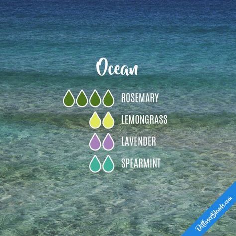 Ocean Candle, Doterra Diffuser Blends, Essential Oil Combinations, Doterra Essential Oils Recipes, Essential Oil Diffuser Blends Recipes, Essential Oil Diffuser Recipes, Oil Diffuser Recipes, Yl Essential Oils, Essential Oil Blends Recipes