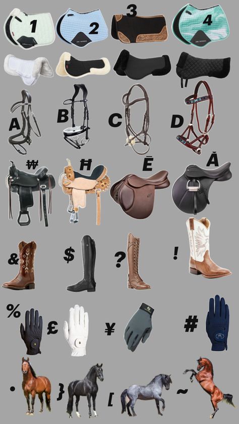 Bits For Horses, Equestrian Style Outfit, Horse Riding Gear, Horse Quotes Funny, Horse Barn Ideas Stables, Horseback Riding Outfits, Horse Riding Outfit, Cool Room Designs, Cute Horse Pictures