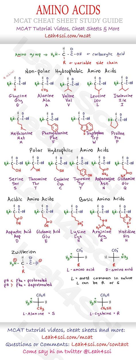 Amino Acids Chart, Study Sheet, Mcat Prep, Mcat Study, General Science, Organization Chart, Pharmacy School, Ap Biology, Chemistry Lessons