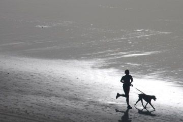 Running with my dog. Happy. Run With Dog, Sunshine Activities, Running With Dog, Cat Travel Accessories, Athletic Dogs, Dog Running, Running Dog, Tips For Running, Running Inspiration