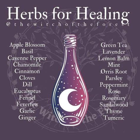 Herbs For Healing, Herbs For Protection, Witchcraft Herbs, Magickal Herbs, Witch Herbs, Medical Herbs, Plant Magic, Magic Spell Book, Magic Herbs