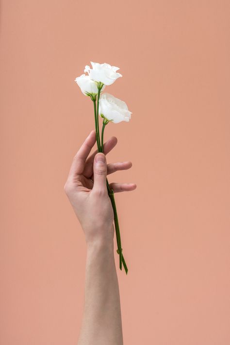 Hand Holding Flower Reference, Hand Photography Aesthetic, Flower In Hand, Hand Holding Flower, Hands Holding Flowers, Hand Flower, Flower Image, Hand Photography, Wallpaper Flower